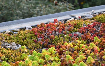 the cost of Little Onn green roof installation