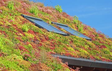Little Onn living roof systems